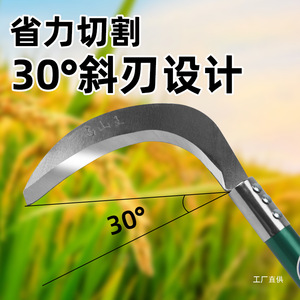 Hoz Xiaojunxia de 18.5cm con Hoja de Acero de Doble Filo para Uso Agrícola y en Exteriores - Product Image 5