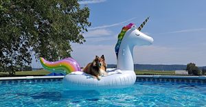 Factory Wholesale High Quality PVC Large Size <strong>Inflatable</strong> Cute <strong>Unicorn</strong> Pool <strong>Float</strong> with Cup Holder for Adults and Family Party Fun - Product Image 4