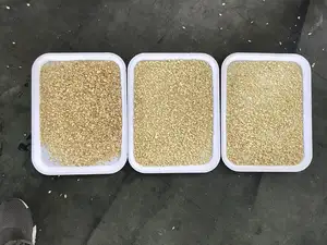 Clasificador de arroz de color Mini Venta caliente 64 canales Máquina de separación de arroz Clasificación