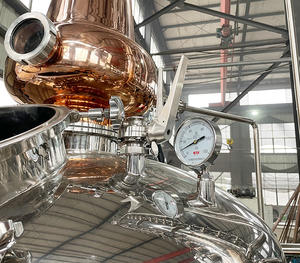 Équipement de distillation de distillateur de colonne de <span class=keywords><strong>prix</strong></span> usine pour les alambics de Moonshine pour le vin de gin de whisky - Product Image 6