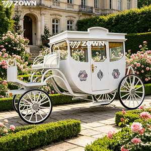 รถม้าไฟฟ้าสไตล์ยุโรป ZOWN 4 ที่นั่ง แบบวินเทจ สำหรับงานแต่งงาน เจ้าหญิง ที่นั่งกว้าง สำหรับโรงแรม รีสอร์ท และการขนส่ง - Product Image 1