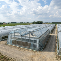 Système d'équipement de serre commerciale solaire multi-tunnels en acier galvanisé pour l'agriculture hydroponique et la culture de légumes