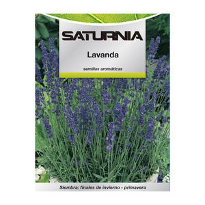 Graines de lavande aromatiques (0,5 grammes) - Product Image 1