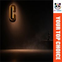 Enseigne lumineuse 3D à lettres canal LED, logo rétroéclairé, enseigne personnalisée en acrylique et acier inoxydable pour affichage en magasin