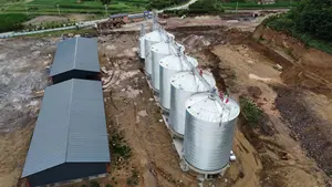 Customized Steel Grain Storage Silo For Sale 500-10000 Ton Corn Wheat Paddy Rice Silo Prices Steel Silo Turnkey Project