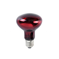 Lampe chauffante infrarouge en verre PKY 100W/175W/250W/375W à intensité variable pour poulaillers et élevages de porcs, température de couleur 1000-2400K, garantie 1 an