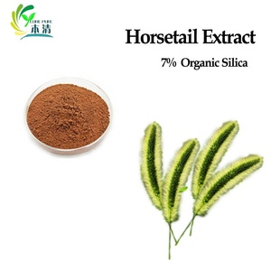 Poudre d'extrait de Prêle de Cheval Biologique de Haute Qualité Marque Corepure, Qualité Alimentaire, Extraite par Solvant, 7% de Silicic, Certifiée HPLC, Fût de 25 kg - Product Image 3