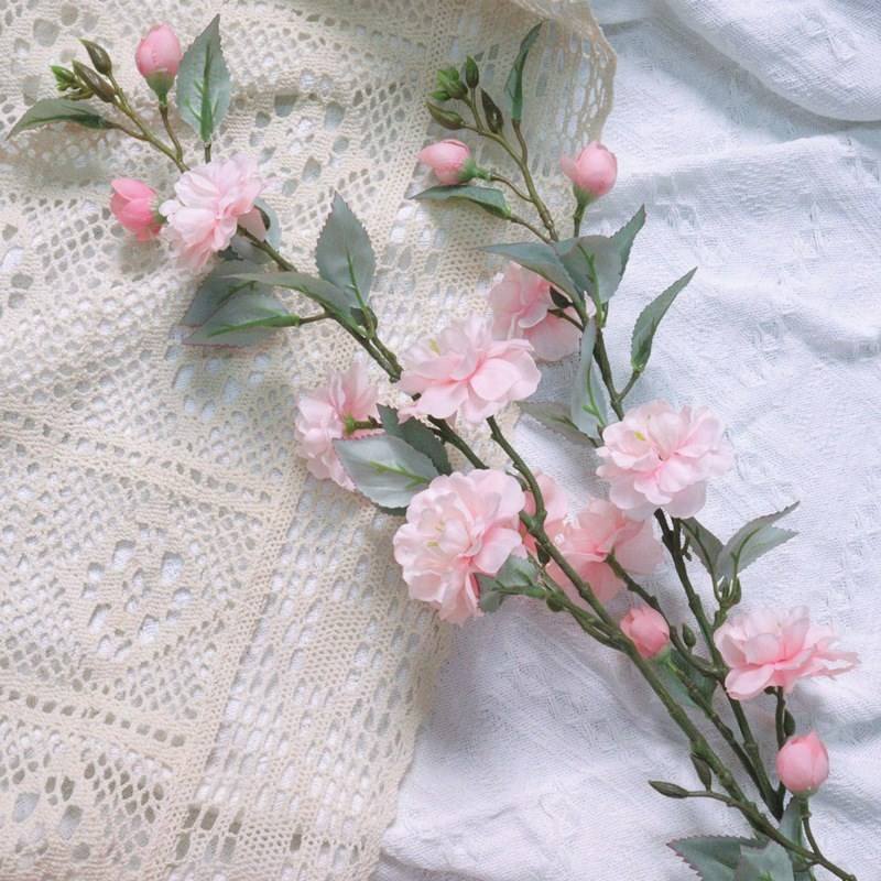 สีชมพูอ่อน