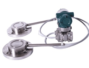 หน้าแปลนคู่เครื่องส่งสัญญาณระดับกับ capillary - Product Image 4