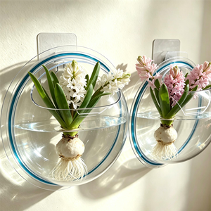 Vase suspendu hydroponique transparent de qualité supérieure, sans perçage, auto-adhésif, pour plantes murales, idéal pour les bureaux modernes - Product Image 3