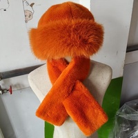 Ensemble Chapeau et Écharpe en Fausse Fourrure de Renard pour Femmes, Protection Contre le Vent, Chaud et Doux, Prêt à Porter