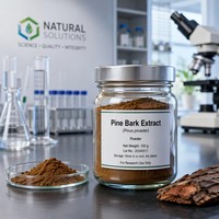 Extrait de Corteil de Pin Premium en Poudre 95% OPC Proanthocyanidines Qualité Alimentaire pour le Soutien Antioxydant et la Beauté de la Peau