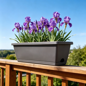 Jardinière <span class=keywords><strong>rectangulaire</strong></span> longue et étroite en plastique pour la culture d'herbes et de légumes, pour l'intérieur et l'extérieur - Product Image 1