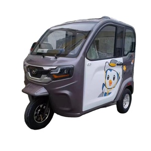Scooter Elettrico a Tre Ruote Completamente Chiuso con Targa Nazionale, Fattura Disponibile, Piccola Auto Familiare per Trasporto e Ritiro - Product Image 1