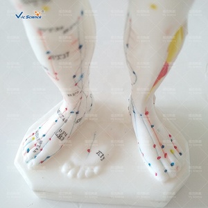 जीवन आकार एक्यूपंक्चर मॉडल सिर एक्यूपंक्चर मॉडल मानव शरीर एक्यूपंक्चर बिंदु - Product Image 2