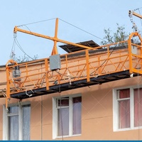 Plataforma de Andamio Suspendido ZLP800 de 800 kg, Pintada, para Limpieza de Ventanas, de Acero