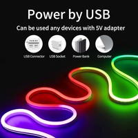Светодиодная гибкая неоновая лента 5V612 с RGB-чипом и эффектом плавного перелива, 24-клавишное Bluetooth-управление голосом, комплект LED IP66