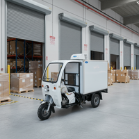 Tricycle frigorifique à moteur thermique avec compresseur Sanyo pour la livraison de produits congelés, économe en énergie