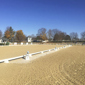 Professionele UV-bestendige witte PVC draagbare dressuurbaan voor dressuurpaardrijden - Product Image 1