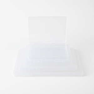 Caja de Almacenamiento Rectangular Transparente con Tapa Abatible de PP, 1.7 cm de Alto, Serie B0, para Empaque y Organización - Product Image 1