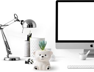 DIYOMR - Maceta Ecológica con Forma de Animalitos, Mini Maceta de Cerámica con Forma de Animal de Dibujos Animados para Plantas Suculentas, para Jardinería Interior y Decoración del Hogar - Product Image 4