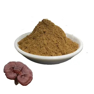 Niedriger Preis Spore getrocknet roh Bio Lingzhi Ganoderma Lucidum Reishi Pilz Dual Extract