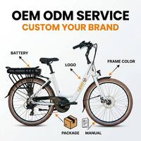 Vélo Électrique Urbain Homologué Route 26 Pouces, Moteur Brushless 250W, Batterie Lithium 36V 14.4Ah, Cadre Aluminium Léger – Nouveauté 2026, Stock UE, Offre Spéciale
