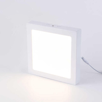 Panneau de plafond mince monté en surface acrylique rond carré De Luz a mené le voyant mené d'intérieur économiseur d'énergie