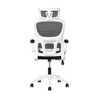 Chaise de bureau minimaliste pivotante avec vérin à gaz de classe 2, dossier haut, support lombaire, siège confortable en maille et roulettes