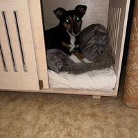 Villa moderne personnalisée pour petits animaux en contreplaqué, maison pour chat et chien, OEM