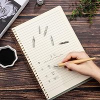 Ensemble de 11 pointes de stylo à encre G en acier inoxydable pour dessin et calligraphie avec support en bois pour l'écriture, la peinture et la signature