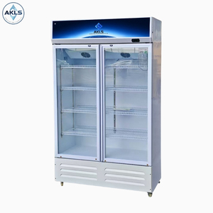 Refrigerador Vertical de Doble Puerta para Bebidas, Económico, Enfriador y Congelador para Exhibición en Supermercados, con Enfriamiento por Aire - Product Image 1