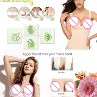 Huile de massage tonifiante pour le développement et la croissance des seins, soin pour femmes, crème pour agrandir les seins, pompe volumisante