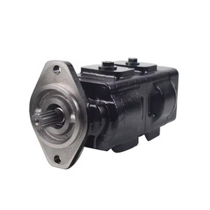 Pompe à engrenages hydraulique 20/918500 7029530002 20/925337 20/92 547 20/912800 JCB 3CX Pompe principale 20/903100 20/902900 Fonte de fer Guangdong - Product Image 4