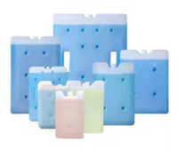 Blocs de glace personnalisés pour chaîne du froid, en plastique HDPE PCM, pour boîtes isothermes et boîtes à lunch