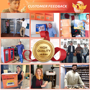 HHD công nghiệp màu mỡ 50 128 1056 10000 50000 Gà Thịt gà Vẹt Chim Cút lồng ấp trứng ở Nam Phi - Product Image 6