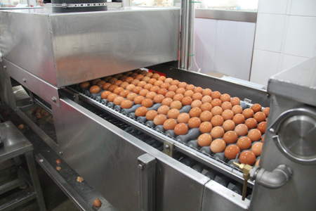 High Efficiency Pasteurized Liquid Egg Processing Line
