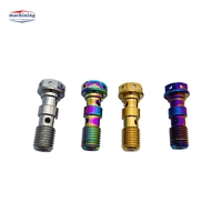 Guitare muette Nakali Chut Mien Ningbo Moco Nut Shakima Nux B2 Plus Pearl Mimic Phenta Bolt Plasma Dome Prosthetics Bolt