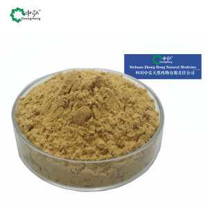 Pure <span class=keywords><strong>Natural</strong></span> Gastrodia Extrato Em Pó 10:1 Alta Qualidade Gastrodia Elata Extrato - Product Image 2