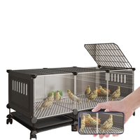 Grande cage robuste pour poulets et cailles, avec plateau en plastique, emballage en PP, fer, fenêtre transparente, anti-évasion, verrouillage, pour extérieur et intérieur
