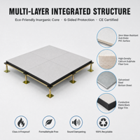 Système de plancher surélevé pour salle blanche, antistatique, finition PVC en sulfate de calcium, 600x600x32mm, réduction du bruit, OEM ODM SENMAI