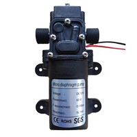 Pompe à eau auto-amorçante à pulvérisation 12V60W DC, booster à reflux, diaphragme, pression 0,6 MPa, débit 5 L/min, plastique, ASEAN Afrique
