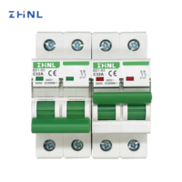 Disyuntores en miniatura Mcb serie 4.5KA de tipo doméstico OEM ODM con 2P Ac 32A 63A 230/400V