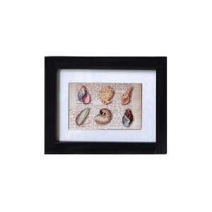 China Gems Photo <strong>Frame</strong> 3.5 Inch Black <strong>White</strong> Vintage Small <strong>square</strong> Shadow Box for Stone Gems Display - Product Image 1