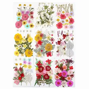 M388 Kit di stampa di fiori fai-da-te all'ingrosso fiori pressati secchi naturali veri fiori pressati secchi per cornici per telefoni in resina artistica