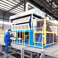 Lini Produksi Pulp Molding Multifungsi untuk Baki Telur, Baki Buah, dan Baki Bibit