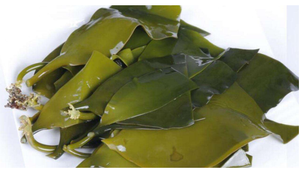 海藻昆布ラミナリアサッカリーナ海エプロンエキス粉末PEフコキサンチン10% 98% 3351-86-8 - Product Image 4