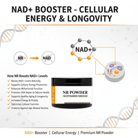 Poudre de Nicotinamide Riboside (NR) en vrac, pureté 99 %, précurseur de NAD, matière première pour capsules de boissons énergisantes, usine OEM ODM
