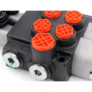 Válvula Direccional Monobloque de 2 Bobinas P40-G12-G38-OT-QTW, Fabricante de Piezas para Maquinaria de Construcción - Product Image 4