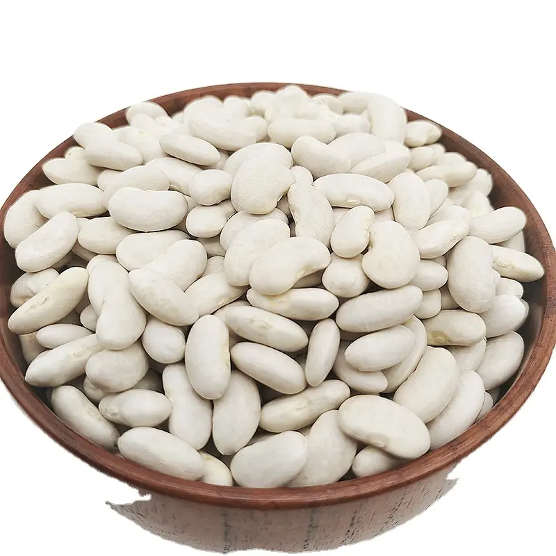 New arrival Agriculture Product Bulk Factory Price wholesale Newest Crop Hot Selling Big White Kidney Beans